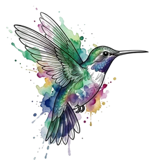 Watercolor hummingbird tattoo design
