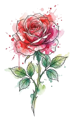 Watercolor rose tattoo design