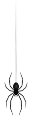 Minimalist spider tattoo design